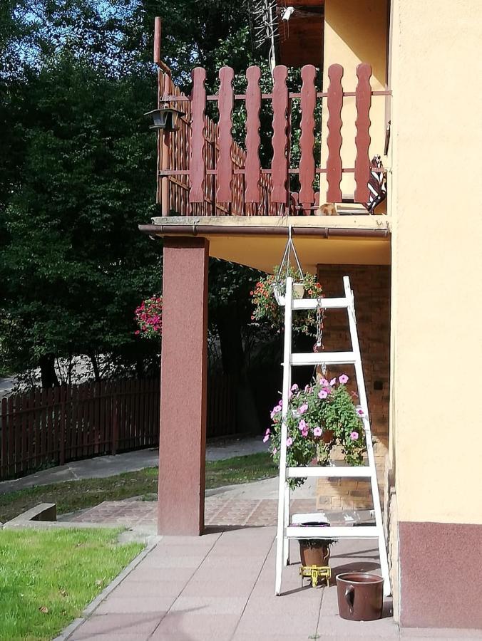 Apartament Nad Szumiacym Potokiem Wilkowice Экстерьер фото